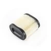 CRAFTSMAN Tecumseh Engine Air Filter